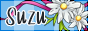 Button mit dem Schriftzug Suzu und Blumen und Streifen im Hintergrund