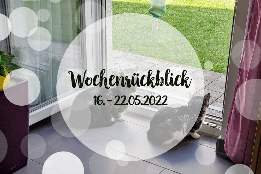 Beitragsbild zum Wochenrückblick 16. - 22.05.2022